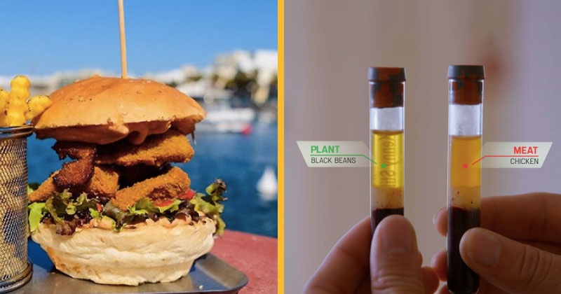 Meat lover goes vegan: here's what my week looked like 🥦