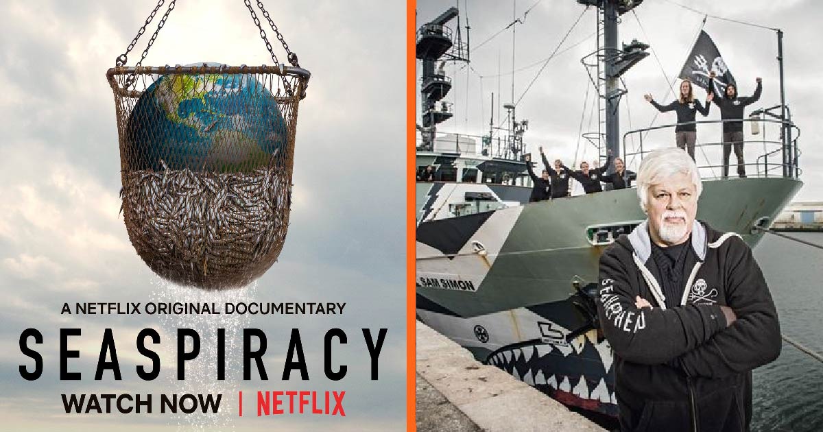 Seaspiracy: This Netflix Documentary is taking the world by storm! 🌊
