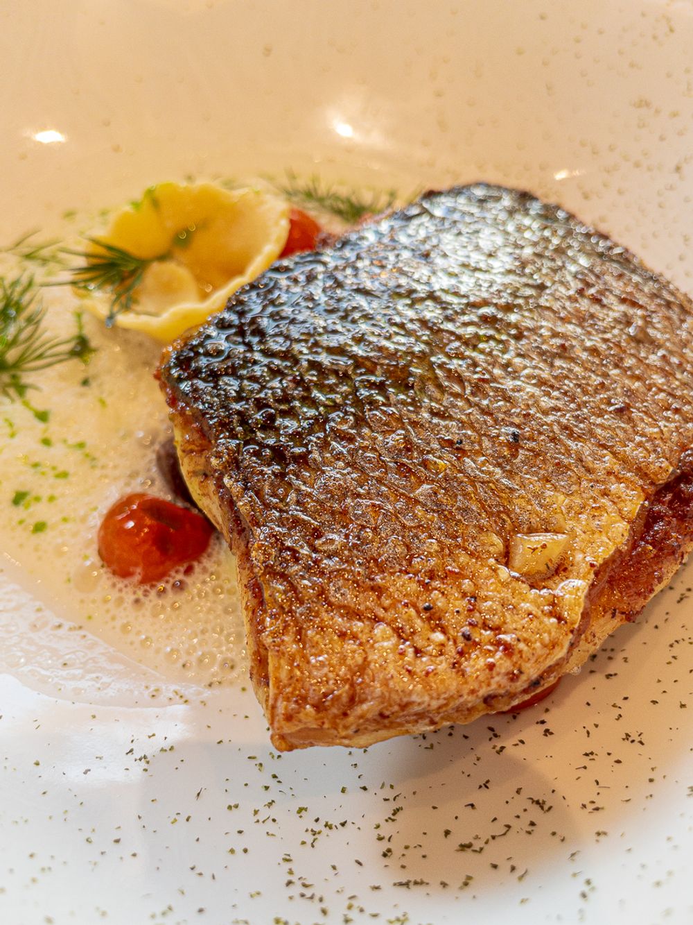 Sea Bass at Seed St Julian's Malta 
