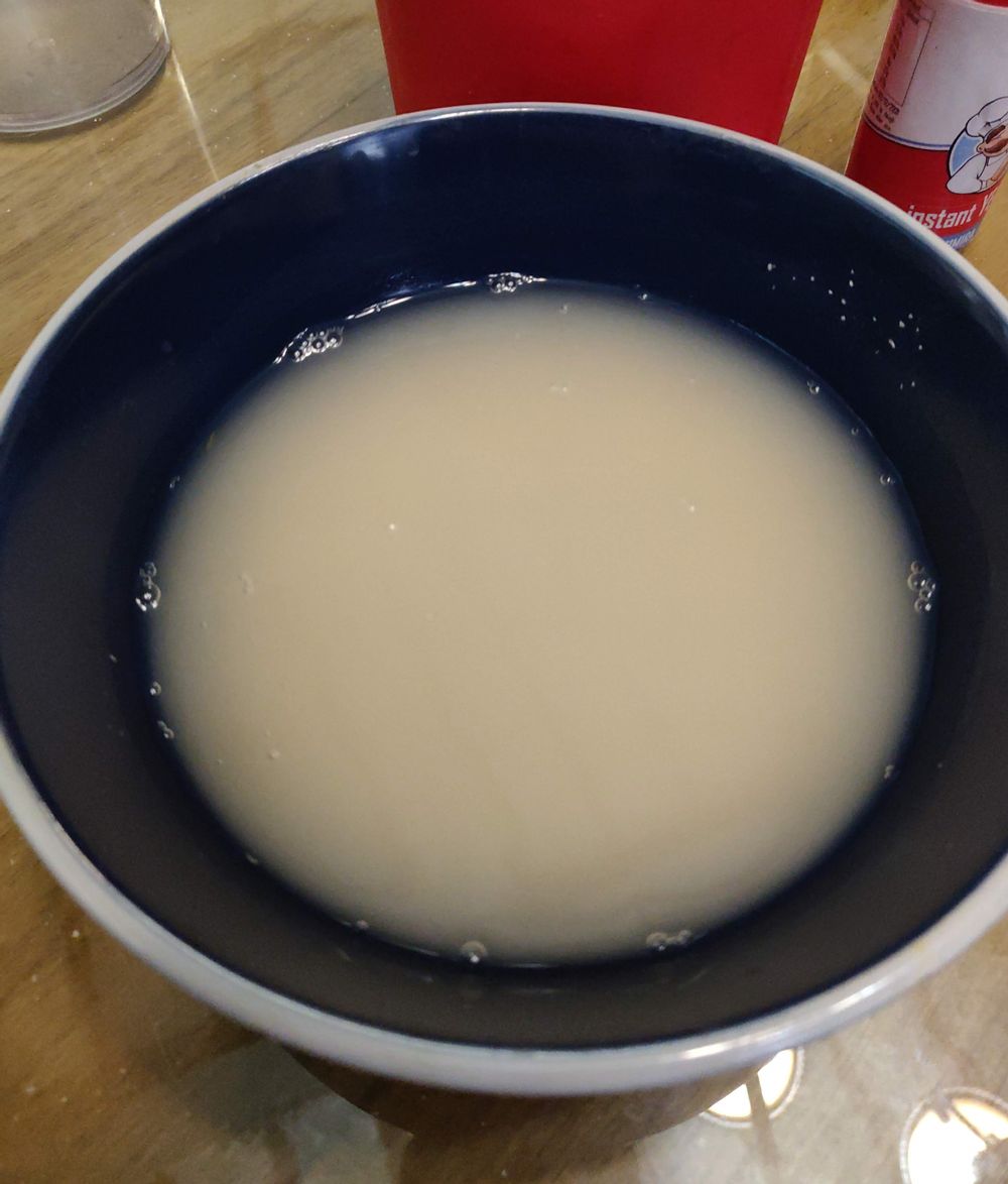 yeast activating in a bowl of warm water