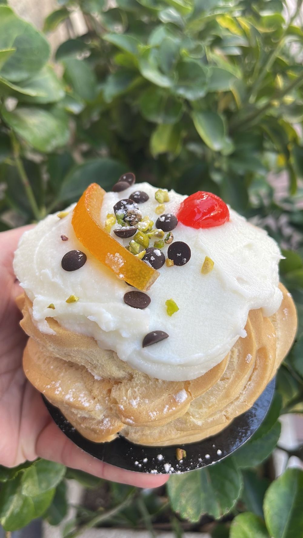 The beautiful zeppoli from La Crema!