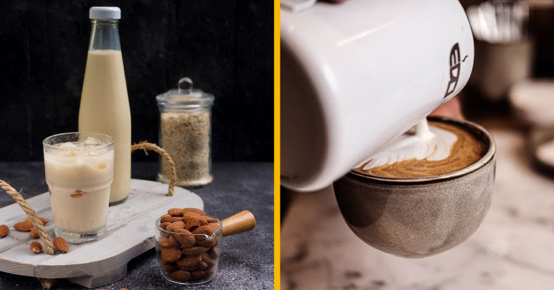 FoodBlog Bytes: Cow Milk Alternatives You Need To Start Drinking Now 🥛