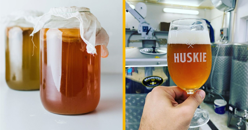 FoodBlog Bytes: How does Fermentation Work & why is it Healthy? 🥬