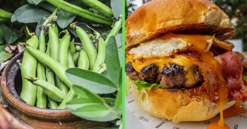 The Ultimate FoodBlog Bucket List: Some foodie ideas for March! 📋