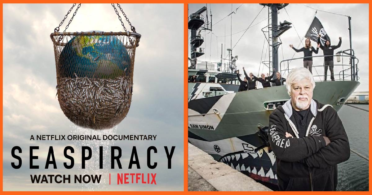 Seaspiracy: This Netflix Documentary is taking the world by storm! π