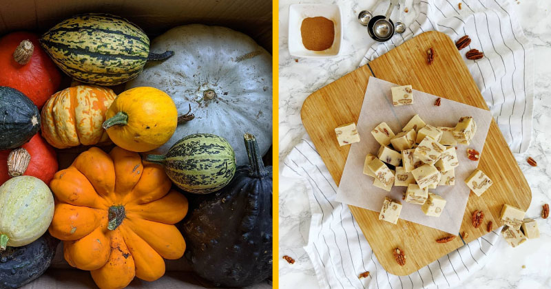 Pumpkin Spice Fever: here are some of our favourite seasonal flavours 🍁