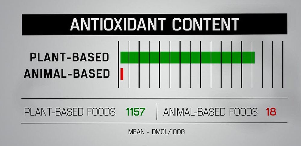 The antioxidant content found in plant-based diets vs animal-based diets.