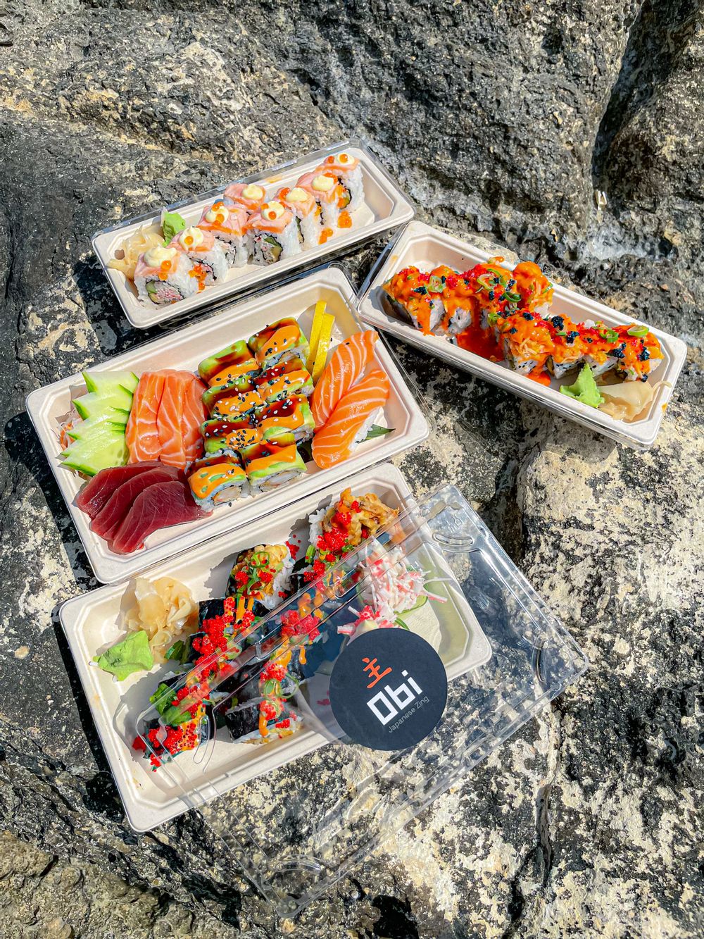 OBI SUSHI ON A ROCKY BEACH